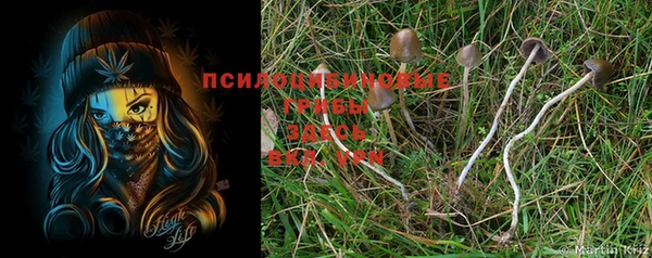 mix Белокуриха