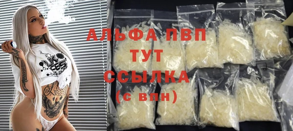 дмт Богданович